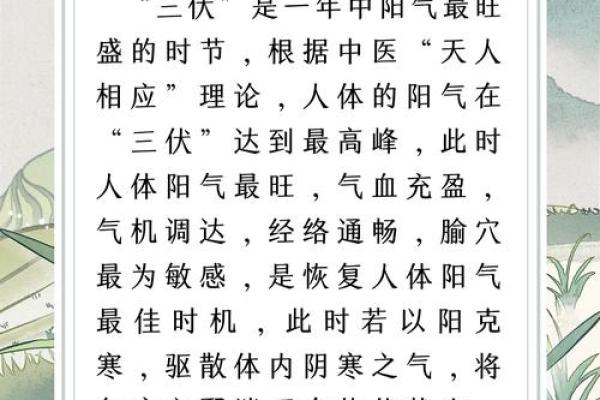 2020年暑伏的时间 2020年三伏天从几号开始