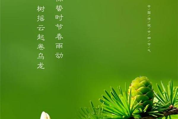 2020年惊蛰时间几点几分 2020惊蛰具体时间查询 2020年惊蛰时间几点几分 2020惊蛰具体时间查询