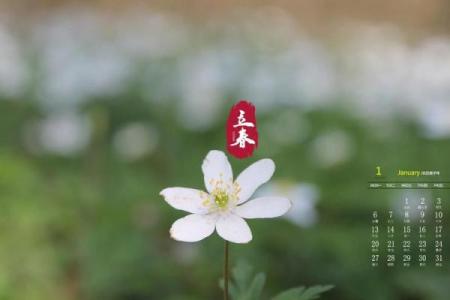 2020年2月4号几点几分立春 2020年立春具体时间查询