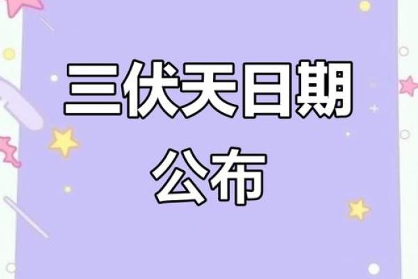 2025年夏至后几天入伏 2025年三伏天从哪天开始