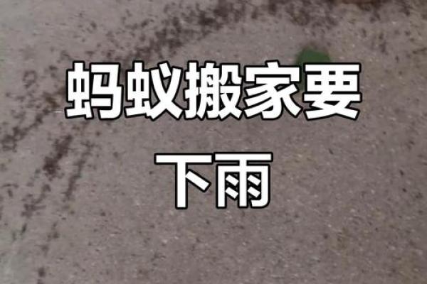 乔迁日下雨有什么预兆