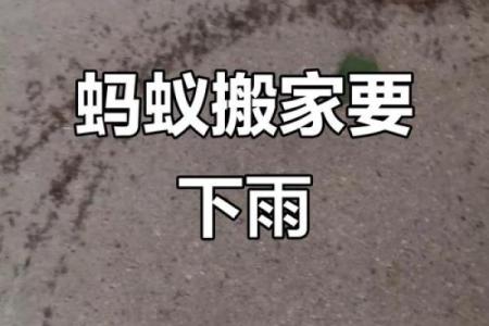 乔迁日下雨有什么预兆