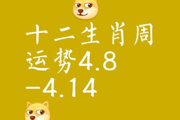 2026年十二生肖流年积德：善事推荐