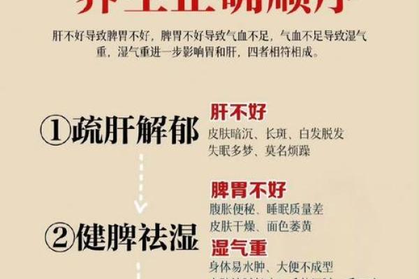 2026年五行养生法:丙午火年体质调理 2026年五行养生法:丙午火年体质调理