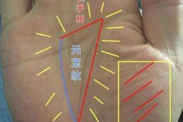 2026年十二生肖流年手相：纹路预示