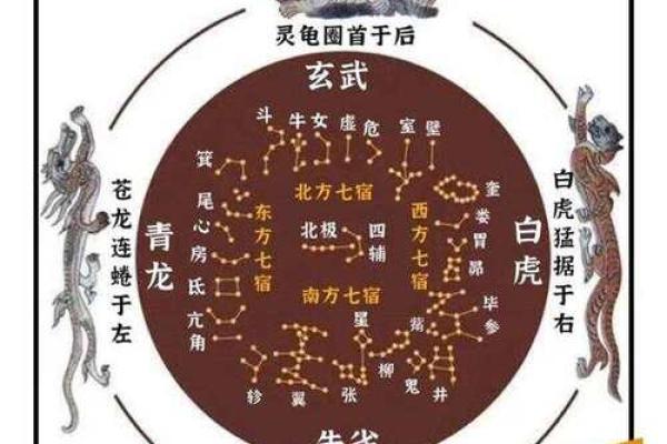 2026年八字流年星宿：二十八宿运势！