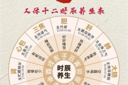 2026年五行养生法：丙午火年体质调理