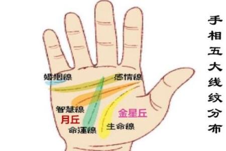 2026年十二生肖流年手相：纹路预示