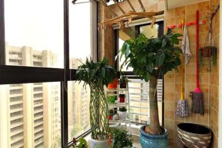 风水调整：春节前这样布置阳台招良缘