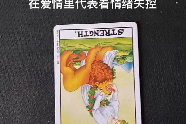 塔罗解析：2026年你必须放下的执念