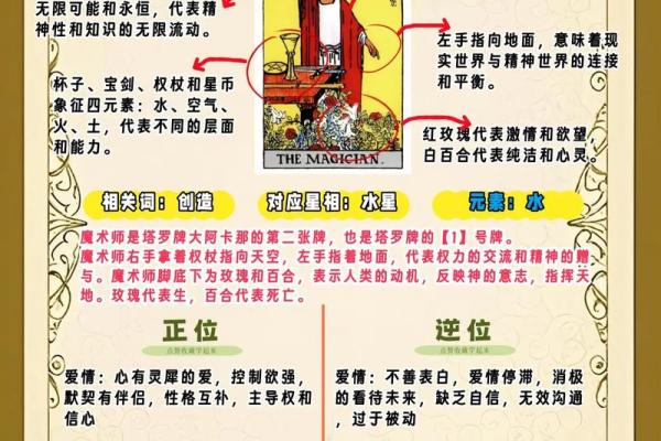 塔罗解析：2026年你必须放下的执念