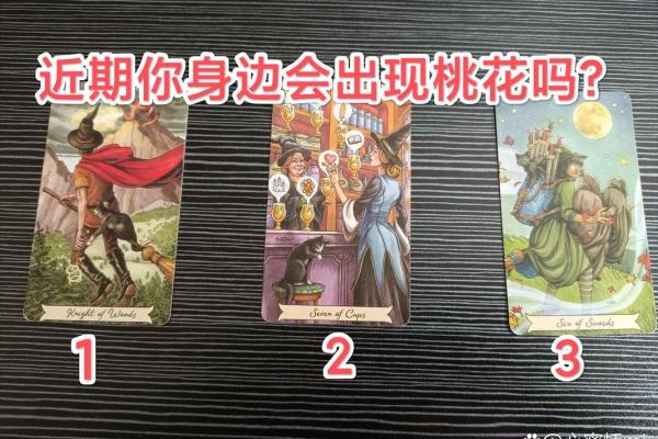 塔罗占卜｜春节聚会你的桃花藏在哪个场合？
