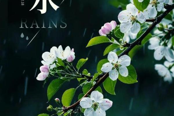 2022年雨水节气适合开张吗？吉日选择与风水建议