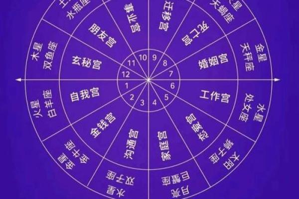 塔罗年运｜2026年十二星座完整指南