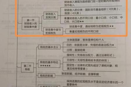 塔罗指引：2026年如何建立多元收入来源