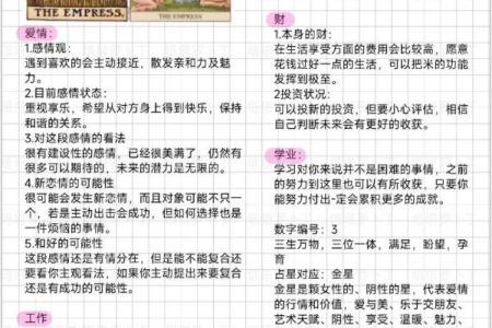 塔罗指引：2026年如何提升你的赚钱效率