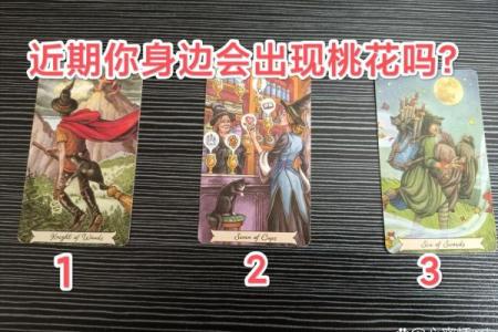 塔罗占卜｜春节聚会你的桃花藏在哪个场合？
