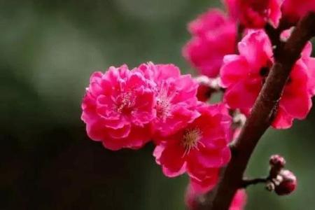 2026年姻缘签：你的正缘什么时候出现？