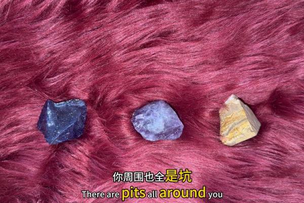 塔罗占卜｜2026年你该坚持现有模式还是创新？