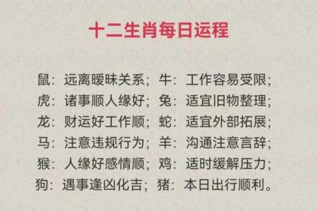 2026年事业运排行榜：看看你的生肖能升职加薪吗？