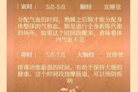 八字看2026年健康养生：最佳调理方法！