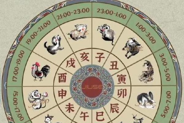 2026年十二生肖流年食物:养生调理 2026年十二生肖流年食物:养生调理