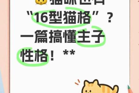 MBTI动物版：你的性格对应什么动物？