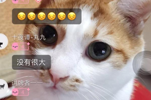 星座解析：2026年凯龙星的治疗能量