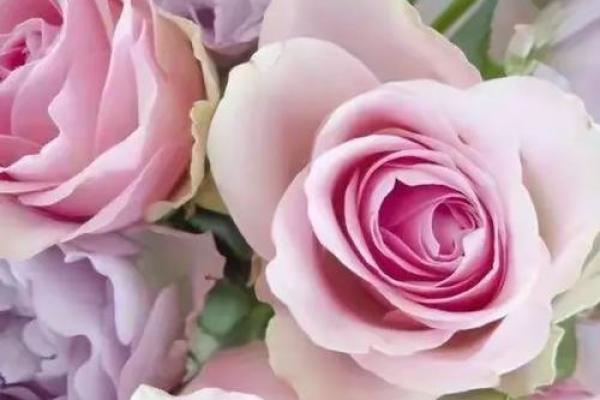 春节脱单秘诀:年初九这样做提升魅力 春节脱单秘诀:年初九这样做提升魅力