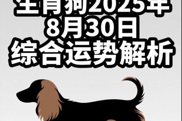 2026年属狗人健康运:体检重点检查项 2026年属狗人健康运:体检重点检查项