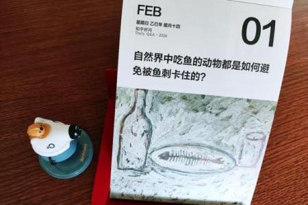 2026年搞钱音箱指南：听这个频率灵感不断