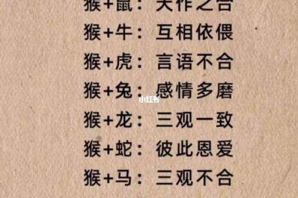 2026年最佳创业合作伙伴生肖配对 2026年最佳创业合作伙伴生肖配对