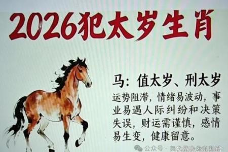 本命年财运预警：属马人2026年必须避开的5个破财陷阱