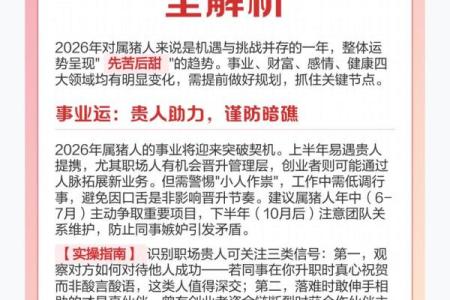 生肖运势：2026年最适合合伙创业的属相
