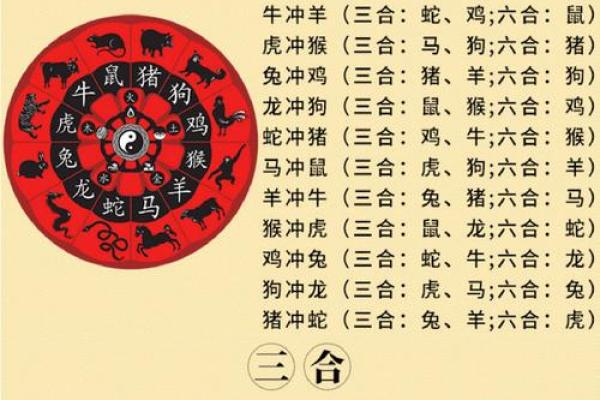2026年属牛人最佳合作伙伴:生肖组合 2026年属牛人最佳合作伙伴:生肖组合
