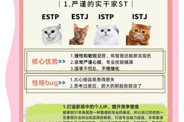 MBTI开运指南：根据性格提升运气