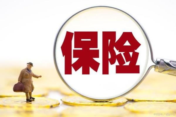 2026年奖金提升：文件摆放