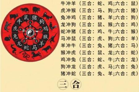 2026年属牛人最佳合作伙伴：生肖组合