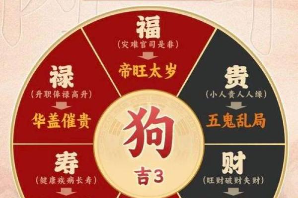 2026年财神宠物喜好：你的贵人喜欢猫狗吗？