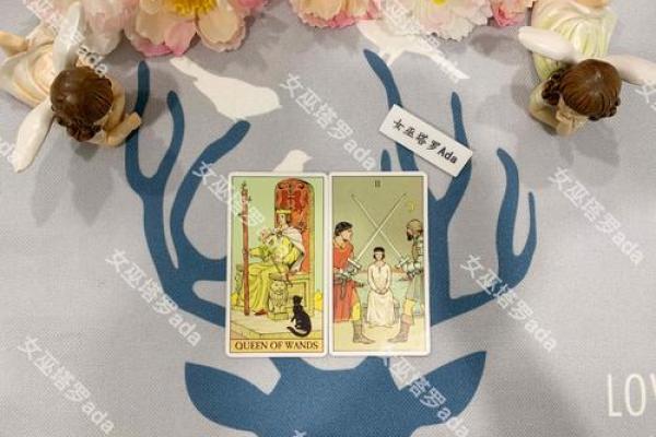 塔罗指引：如何谈加薪成功率最高？