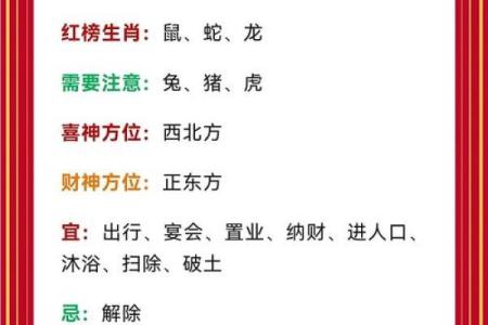 2026年属鼠人财运：正财偏财哪个更旺？