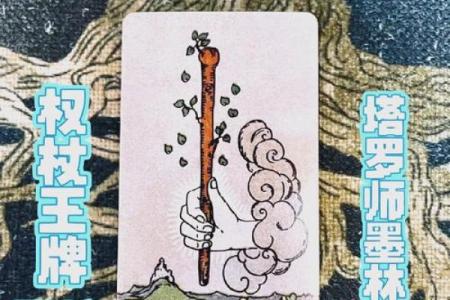 塔罗占卜｜未来半年的生活会有哪些变化？