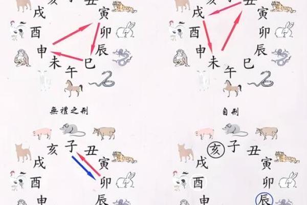 2026年十二生肖相刑生肖:容易起冲突 2026年十二生肖相刑生肖:容易起冲突