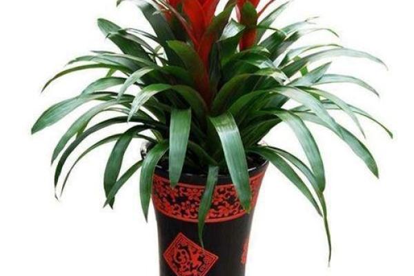 马年旺财牙膏指南:用这个颜色刷牙财运旺 马年旺财牙膏指南:用这个颜色刷牙财运旺