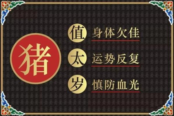 破太岁投资黑名单:2026年属猪人禁入领域 破太岁投资黑名单:2026年属猪人禁入领域