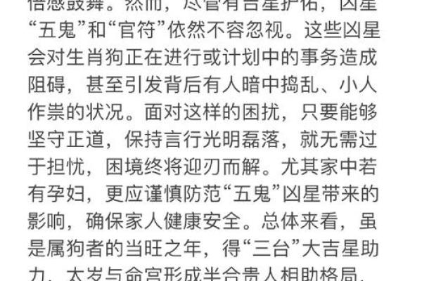 2026年属狗人团队命名:合作运势 2026年属狗人团队命名:合作运势