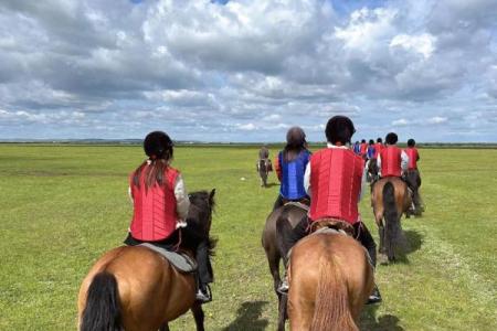 2026年属马人最佳旅行同伴：出游愉快