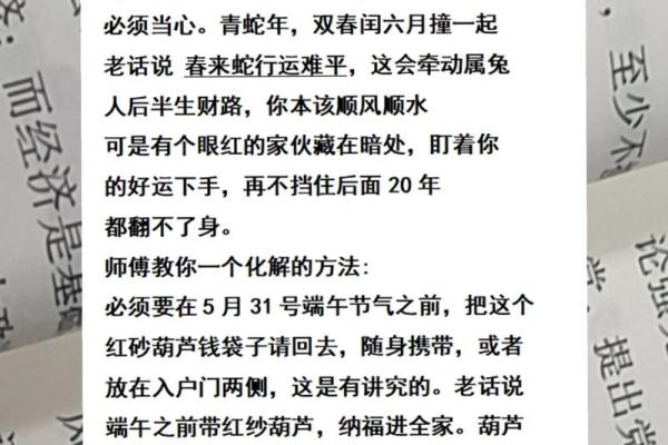 2026年属兔人每月运势指南:感情关键期 2026年属兔人每月运势指南:感情关键期