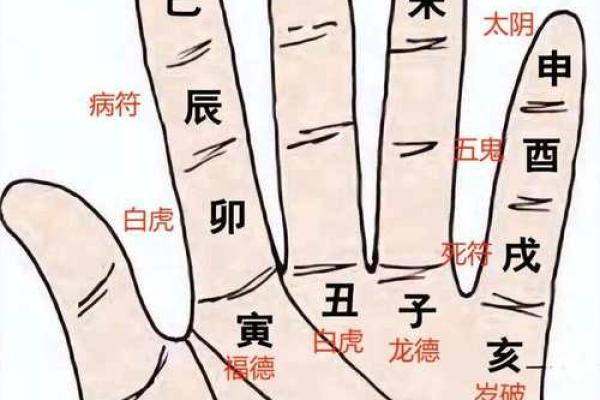 2026年十二生肖流年节气:重要节点 2026年十二生肖流年节气:重要节点