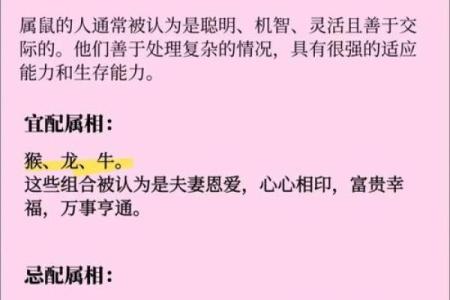 2026年婚姻幸福的5个生肖组合